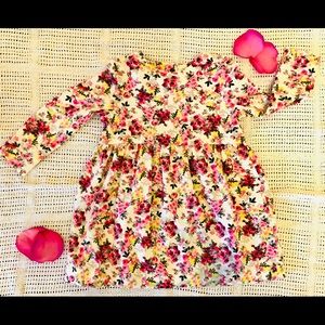 NWOT Joules Floral Dress 9-12 mo